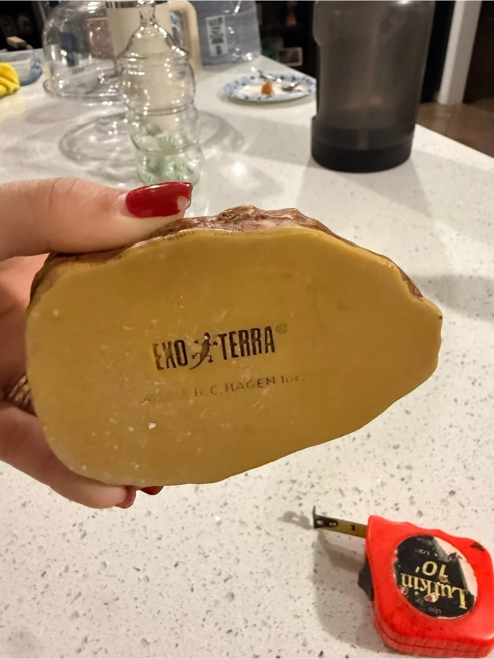 Natural Brown Resin Bowl for Bearded dragon food